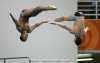 Men's Synchronized Diving - 2004 Athens Olympics 10m platform
