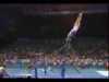 Shannon Miller 1996 Olympics Bars