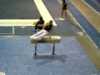 Berkeley Gymnastics Pommel Horse