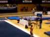 Alicia Sacramone 2007 NCAA Regionals Floor