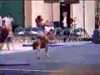 Tasha Schwikert 2002 US Classic Floor